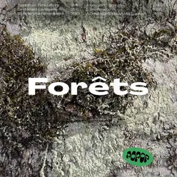Forêts