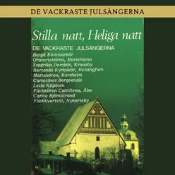 Den heliga natten