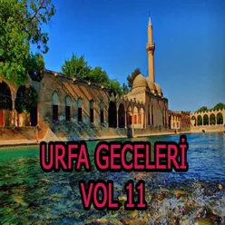 Urfa Geceleri Vol.11