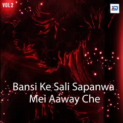 Bansi Ke Sali Sapanwa Mei Aaway Che, Vol. 2