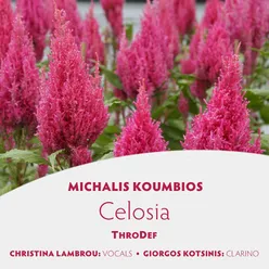 Celosia