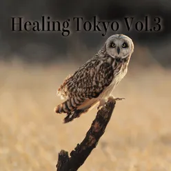 Healing Tokyo Vol.3 Healing Tokyo Ver.