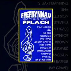 Ffefrynnau Fflach