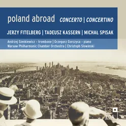 Poland Abroad Vol. 6 - Concerto / Concertino