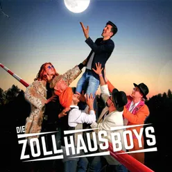 Zollhausboys 1-3