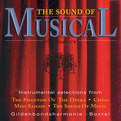 The Sound Of Musical