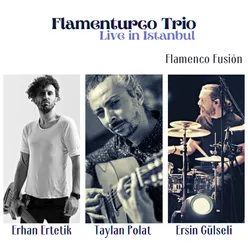 Flamenturco Trío Live in İstanbul