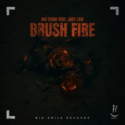 Brush Fire Extended Mix