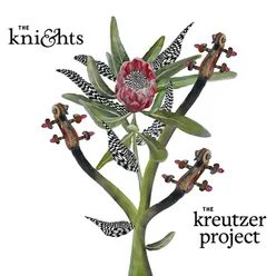 The Kreutzer Project