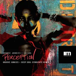 Perception Groove Junkies & Deep Soul Syndicate Remix