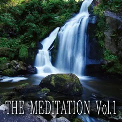 THE Meditation, Vol. 1