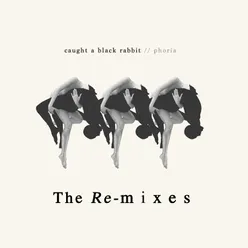 Caught a Black Rabbit - The Remixes