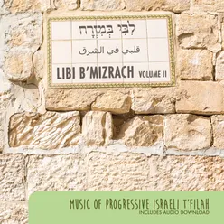 Libi B'mizrach: Music of Progressive Israeli T'filah, Vol. II