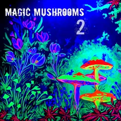 Magic Mushrooms 2