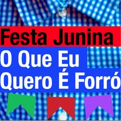 Festa Junina - o Que Eu Quero É Forró!