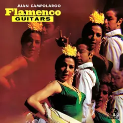 Flamenco Guitars 2022 Remaster