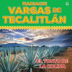 El Tonto de la Colina