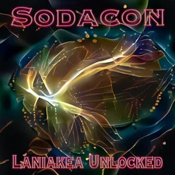 Laniakea Unlocked