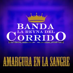 Amargura en la Sangre