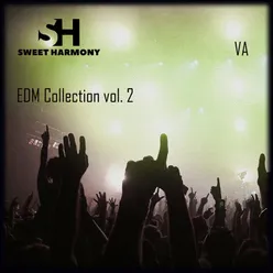 EDM Collection, Vol. 2