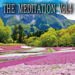 THE MEDITATION, Vol. 4