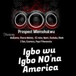 Igbo wu igbo nu'na america