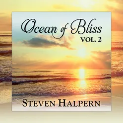 Ocean of Bliss, Vol. 2