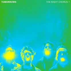 The Night Chorus 1