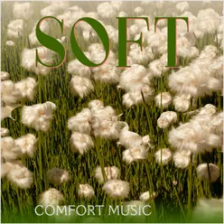 Comfort Music (Soft)