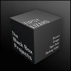 The Black Box Projects