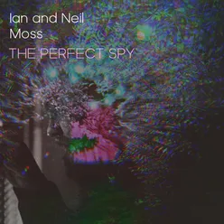 The Perfect Spy