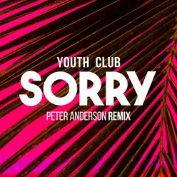 Sorry (Peter Anderson Remix)