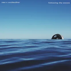 Following the Waves