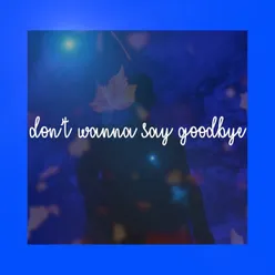 Don't Wanna Say Goodbye