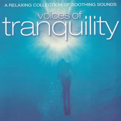 Voices of Tranquility