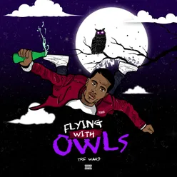 Flying with Owls