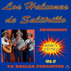 Exitos Pa' Bailar Pegaditos Vol. 2