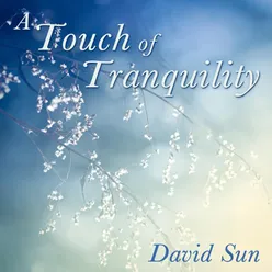 A Touch of Tranquility