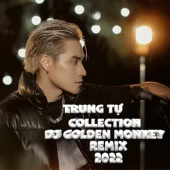 Thư Tay (DJ Golden MonKey Remix)