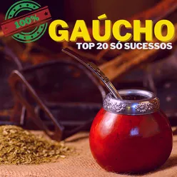 100% Gaúcho - Top 20 Só Sucessos