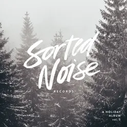 Sorted Noise Records: A Holiday Album, Vol. 5