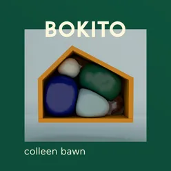 Colleen Bawn