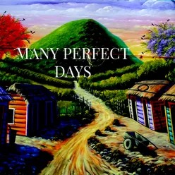 Many Perfect Days