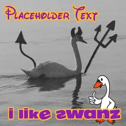 I Like Swanz