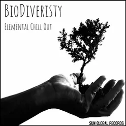 Biodiversity Elemental Chill Out