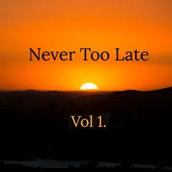 Never Too Late