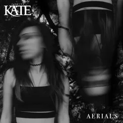 Aerials (Acoustic)