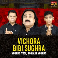 Vichora Bibi Sughra - Single