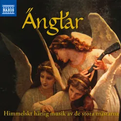 Drottningholmsmusiken, BeRI 2: Allegro