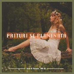 Prituri Se Planinata